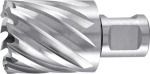 Kernboor 20,0 mm HSS L=30 mm Ruko 108220 Weldon