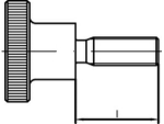 Knurled screw DIN 464-5.8 M 4x16 mm, galvanised