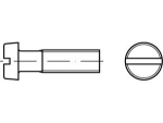 Draadschroef DIN 84 M 6x10 mm, gegalvaniseerd Cilinderkop met gleuf