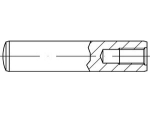 Parallelle pennen DIN 7979-D D 10,0x40 mm Inwendige draad