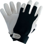 Nappa leather gloves Size 11, textile back, EN 388 Compass Finestar