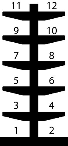 1102075 #3