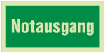Rettungszeichen Notausgang LxB 297x148 mm, grün/weiß nachleuchtend BGV A8