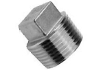 Vierkante plug, 2" Roestvrij staal A4