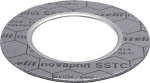 Bördeldichtung DN 15/PN 40 51x22 mm novaphit SSTC nach EN 1514-1