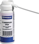 Zylinderpflege-Spray 50 ml Spraydose VE=30 STK