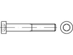 Binnenzeskantschroef DIN 7984-08.8 M 16x30 mm, gegalvaniseerd