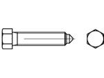 Hexagon head screws DIN 564-8.8 BM 20x80 mm, raw Spout, spigot tip, small hexagon