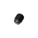 Schroefplug 233950 E SKF MaPro