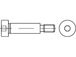 Fitting shoulder screw with collar ISO 7379-12-M10-20 Fit f9