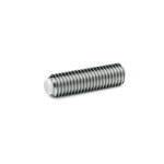 Stelschroef met POM spigot GN 913.5-M6-25-KU Roestvrij staal 1.4305