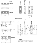 Schaal GN 711.2-AL-500-W-M-1 Aluminium