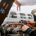 Hevel- en koppeltang 250 mm, geatramenteerd, Ku-klauwen Knipex 81 11 250