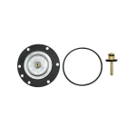 Wear parts kit Diaphragm, valve cone, O-ring Standard, for controller 678.42 678.43