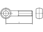 Oogbout DIN 444 BM 6x30 mm, gegalvaniseerd