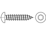 Blechschrauben DIN 7981-C TX20 4,2x38 mm, verzinkt Linsenkopf
