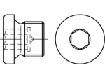 Schroefplug DIN 908-A4 G 2" roestvast staal