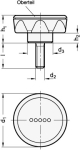Star grip screw GN 636.4-45-M10-20-DSG Top black-grey