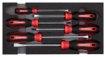 Screwdriver set PH+SL 2/6 CT module 6-piece Gedore RED R22150013