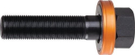 Lagerschroef L=60 mm Ø 11,1 mm Alfra ALFRA