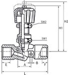 Needle valve MS vern. for Panel mounting IG/IG G DN