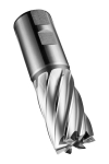 End mill, HSCo-XP, type N C247-36.0 mm Dormer