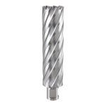 Kernboor 20,0 mm HSS L=110 mm Ruko 1082020 Weldon