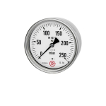 Manometer Nullpunktkorrektur AG 1/2", D100 mbar Edelstahl 304, Anschluss hinten