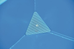 1598167 #2