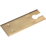 Cover plate Brushed matt brass Dormakaba for BTS 75 V