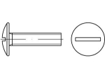 Cup screw with slot M 6x40 mm, galvanised