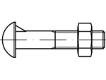 Halbrundschr.m Nase DIN 607 M 16x35 mm, 4.6, roh