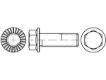 Hexagon flange screws class 100 M 16x70 mm, galvanised with locking teeth