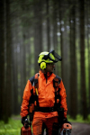 Gehörschutz gelb, Befestigung am Schutzhelm 3M Peltor MT15H7P3EWS6