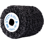 Reinigungsscheibe PCLW  100100/19 Pferd