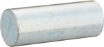Press-Achse 50 x Ø 19 mm Vigor V4699-4
