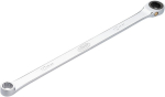 Ratschen-Ringschlüssel SW 10 m Vigor V7031-10