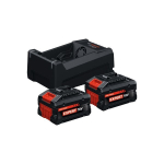 Akku Starter Set 18V 2x EXBA18V-55 + GAL12 Bosch 1.600.A03.73P