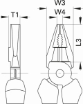 Var1038189 #2