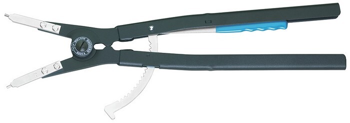 Var1038950 #1