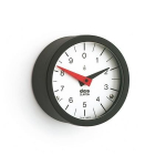 Position indicator, pendulum system GN 000.8-60-100-R Elesa CE.71301