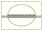 Var1144928 #2