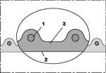 Var1144979 #2