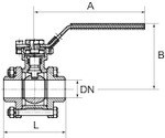 Var1239274 #1