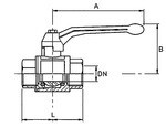 Var1240991 #1