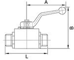 Var1243250 #1