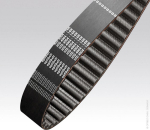 Toothed belt Optibelt HTD