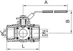 Var1373979 #1