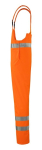 Var1509874 #2