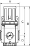 Var1529541 #1